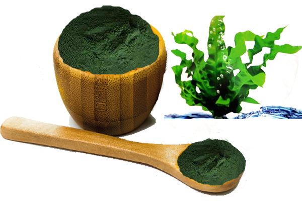 spirulina.png