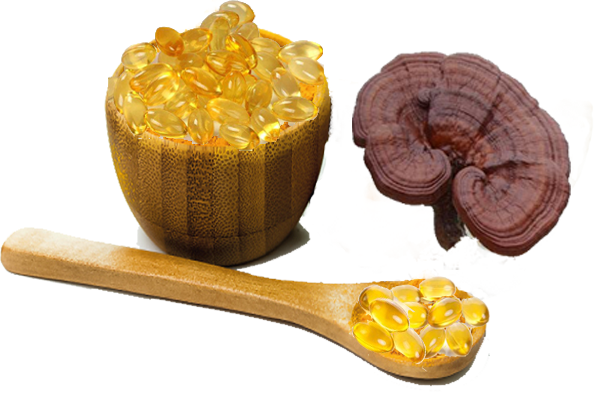 reishi spore oil softgel