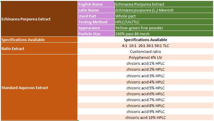 Echinacea Purpurea Extract Specification