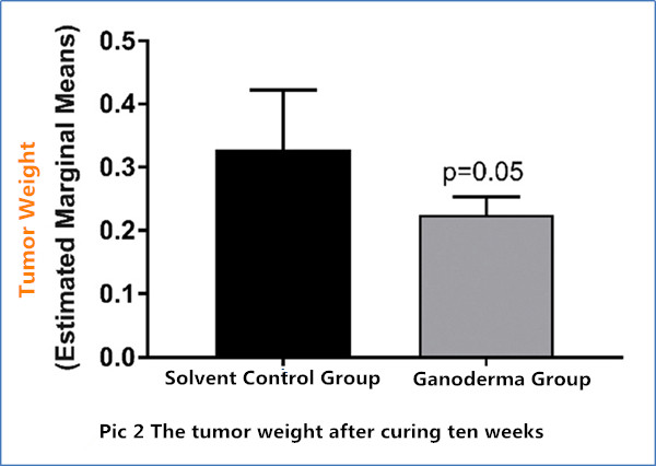 Ganoderma lucidum extract (GLE) impairs breast cancer stem cells by targeting the STAT3 pathway pic2