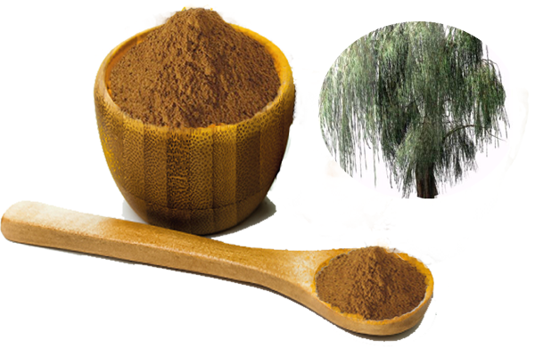 white willow bark extract