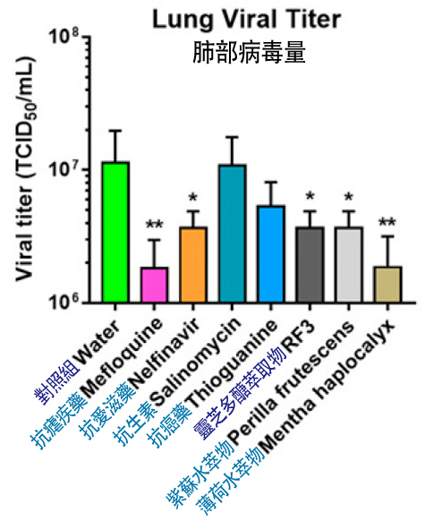 New discovery of Ganoderma lucidum polysaccharide 2. jpg